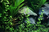 Enlarge photo 54