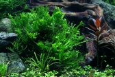 Enlarge photo 55