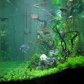 Enlarge photo 57