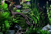 Enlarge photo 64