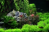 Enlarge photo 65