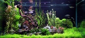 Enlarge photo 66