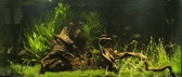 Enlarge photo 117