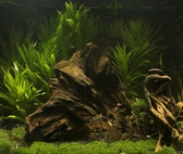 Enlarge photo 118