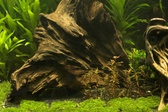 Enlarge photo 119