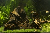 Enlarge photo 120