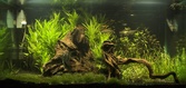 Enlarge photo 121