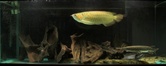 Enlarge photo 122