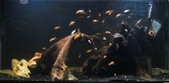 Enlarge photo 124