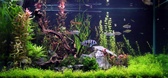 Enlarge photo 72