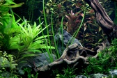 Enlarge photo 69