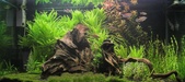 Enlarge photo 125
