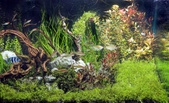 Enlarge photo 77
