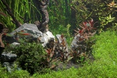 Enlarge photo 80