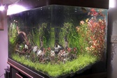 Enlarge photo 81