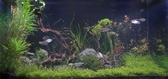 Enlarge photo 83