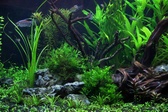 Enlarge photo 36