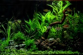 Enlarge photo 37