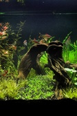 Enlarge photo 112