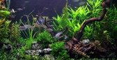 Enlarge photo 38