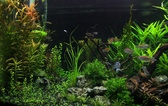 Enlarge photo 39