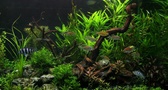 Enlarge photo 40
