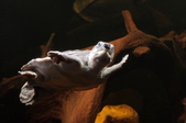 Enlarge photo 33