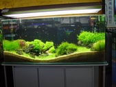Enlarge photo 29