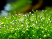 Enlarge photo 52