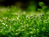 Enlarge photo 53