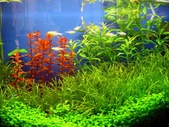 Enlarge photo 27