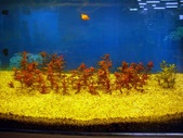 Enlarge photo 31