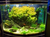 Enlarge photo 34