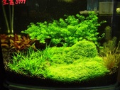 Enlarge photo 37