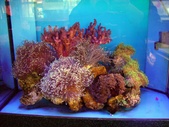 Enlarge photo 38