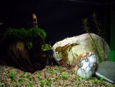 Enlarge photo 1