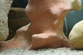 Enlarge photo 78