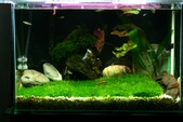 Enlarge photo 17