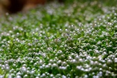 Enlarge photo 61