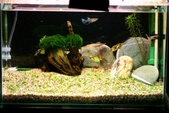 Enlarge photo 7