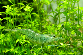 Enlarge photo 38