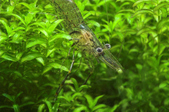 Enlarge photo 43