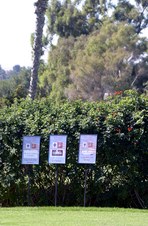 Enlarge photo 92