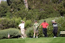 Enlarge photo 98