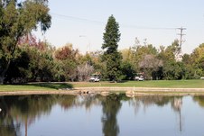 Enlarge photo 99