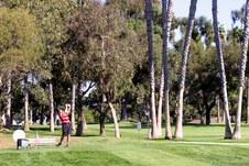 Enlarge photo 110