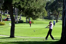 Enlarge photo 114