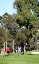 Enlarge photo 137