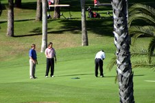 Enlarge photo 155