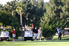 Enlarge photo 171